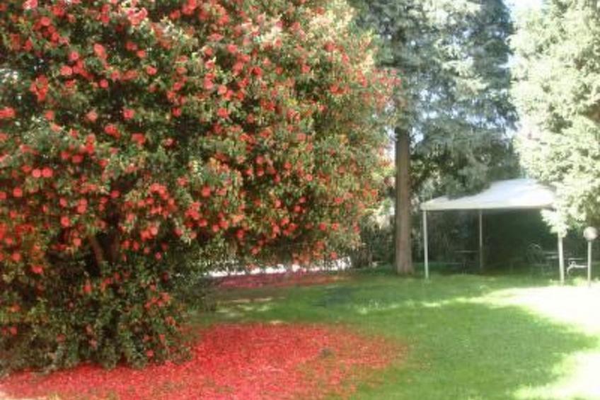 Fuer 7 Personen  3 Schlafzimmer in der Nähe von - foto 35