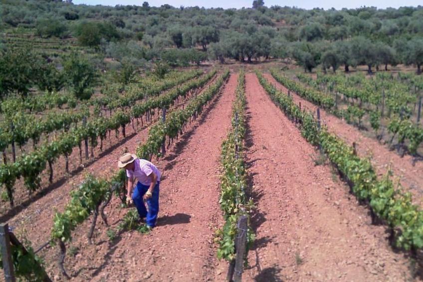 El Mirador del Soto - foto 9