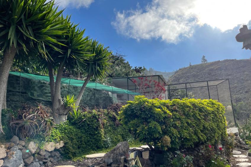 Casa Amarilla - foto 38