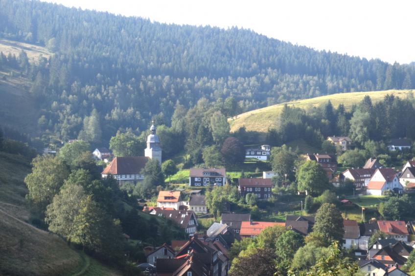 Ferienapartment Frosch in Wildemann Harz - foto 19