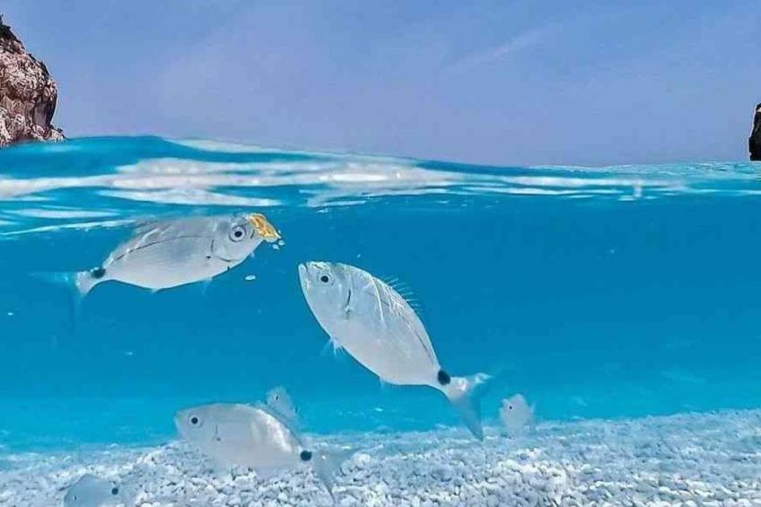 Zeit für Jazz "2BR Apt Nr S.Teodoro" - foto 10