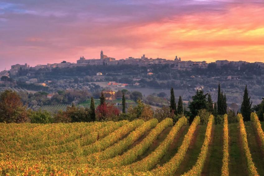 'Casa il Girasole' - foto 18