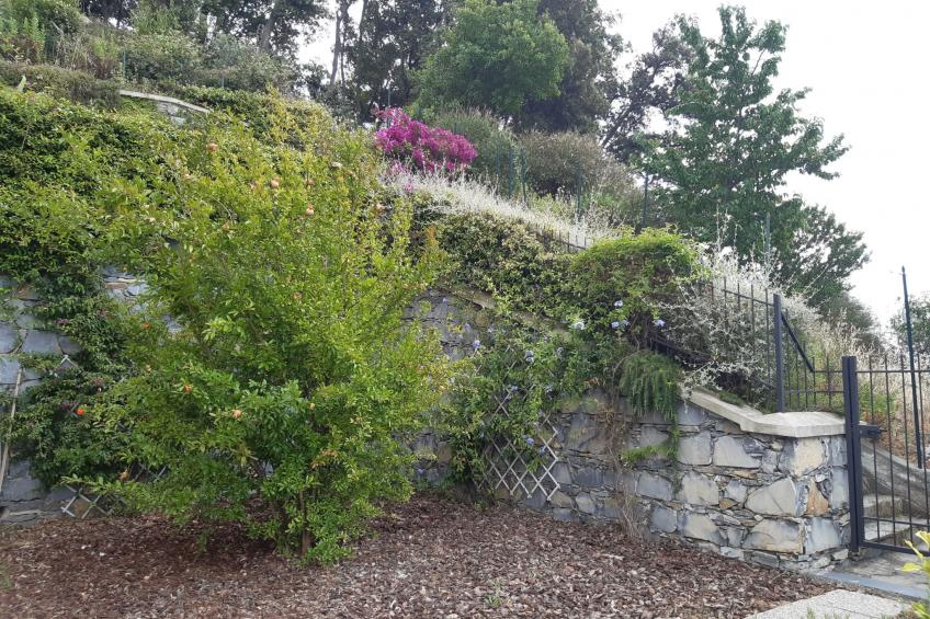 für 4 Personen ca. 50 m² in Sestri Levante, Norditalien (Ligurien) - foto 13