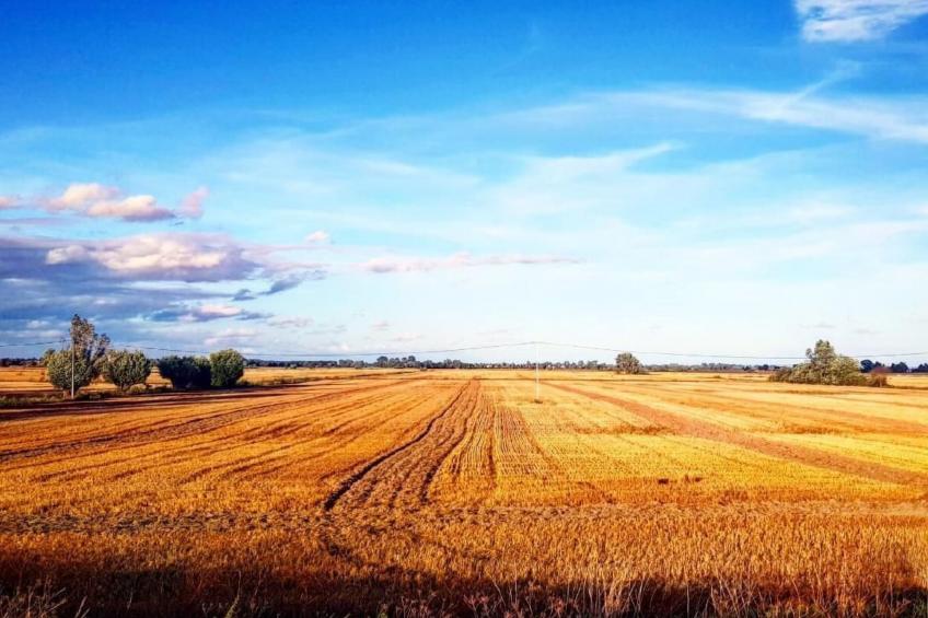 Blue Eco Cottage" Ferienhaus mit Wasserblick - foto 48