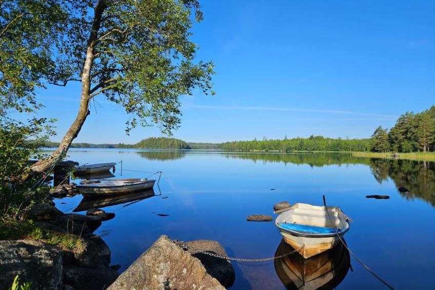 Gösen in Seenähe inklusive Ruderboot - foto 19