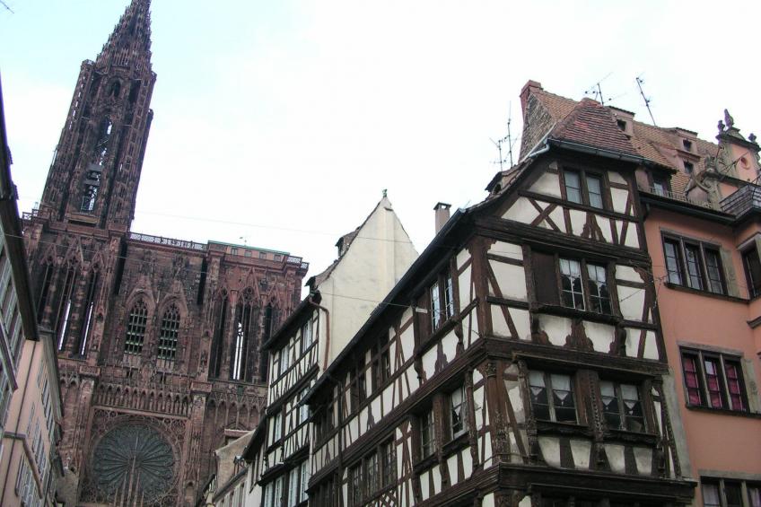 Zwischen Elsass und Vogesen, gite in einem schönen Chalet. - foto 27