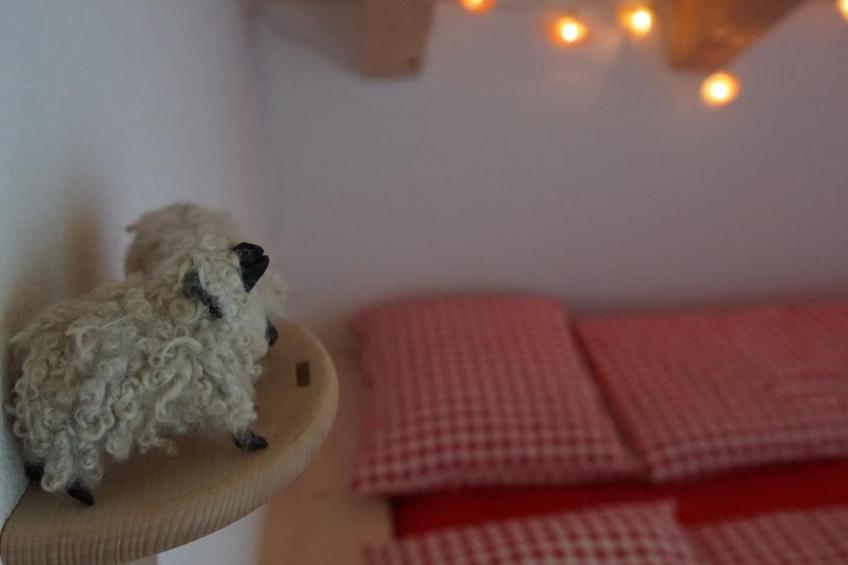 Wollhaus Oberzwirgi - foto 19