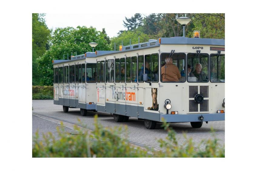437517 - foto 28