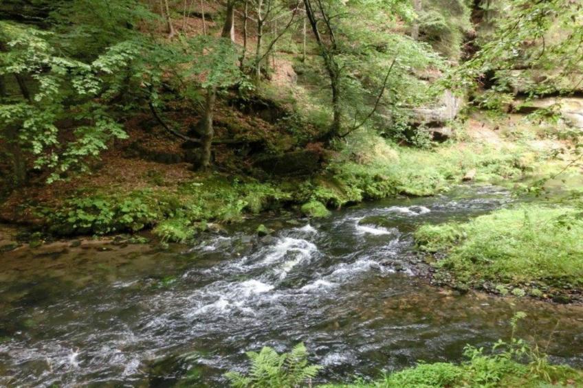 Sächsische Schweiz - foto 23