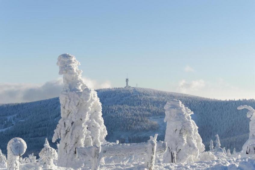 Ferienwohnung Irene - foto 14
