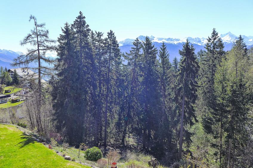 Les Faverges - foto 20