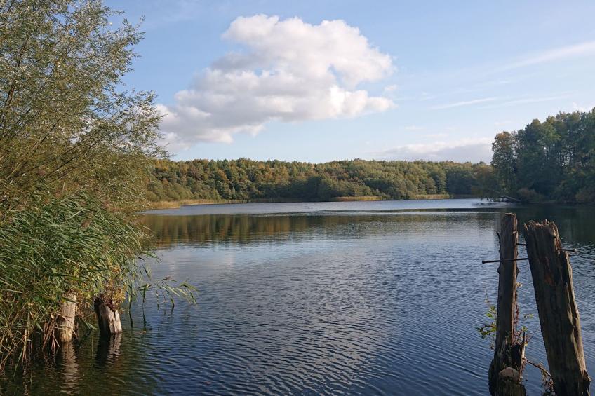 Schaalsee - Auszeit - foto 43