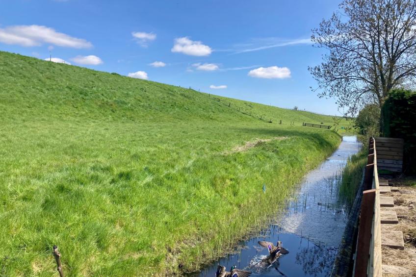 157 Am Deich - foto 19