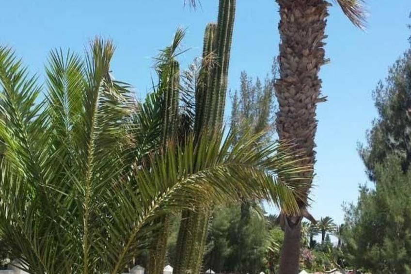 Wohnung "Costa Calma" mit gemeinschaftlichem Pool - foto 23