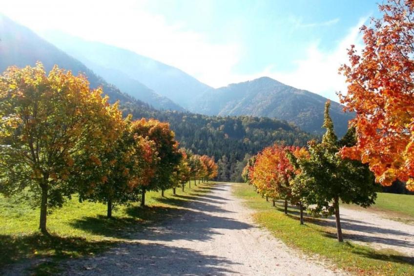 Sonnenblick - foto 17