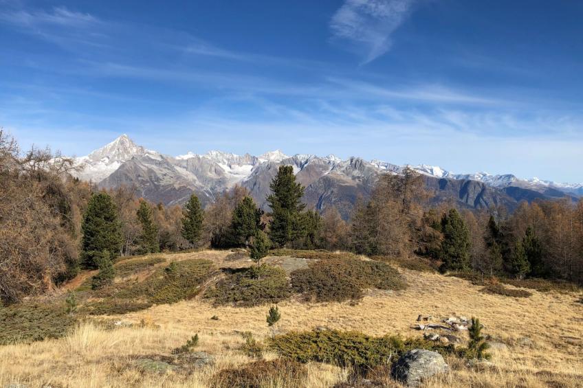 in Unterbäch - foto 12