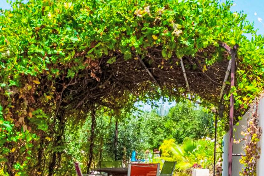 Nido Aguila Blanca - foto 33