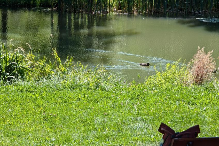 Ferienwohnung Freital - Dresden - foto 15