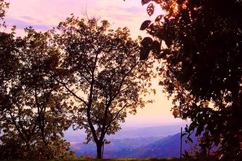 Villa im Grünen Civico 2 in Uzzano - foto 16