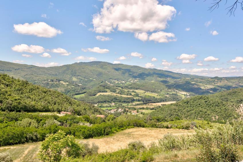 Castagno - foto 39