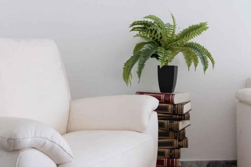 Ferienwohnung mit Terrasse 300m vom Meer entfernt - BF-2M9TN - foto 14