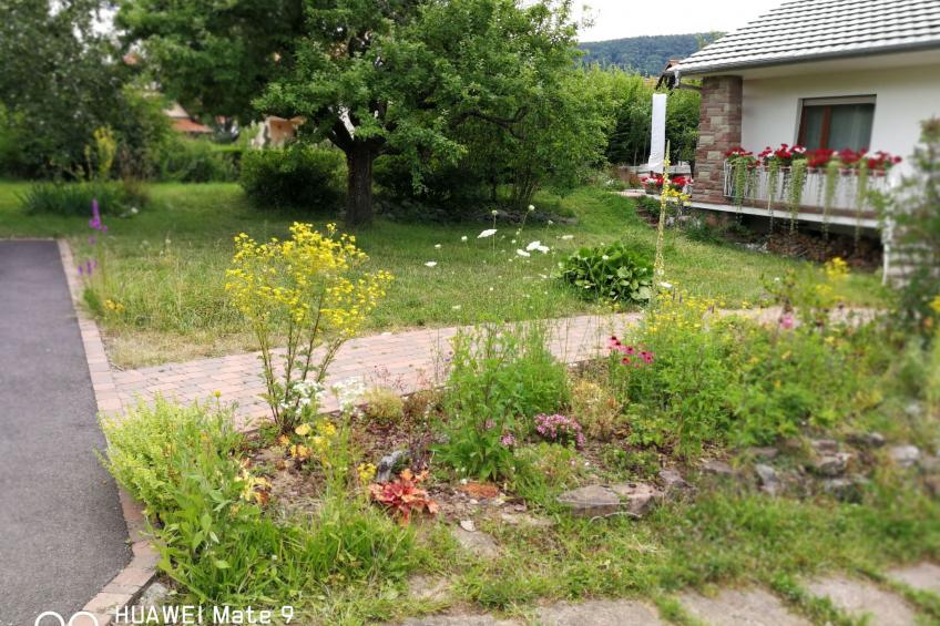 Le Château d'Eau - foto 4