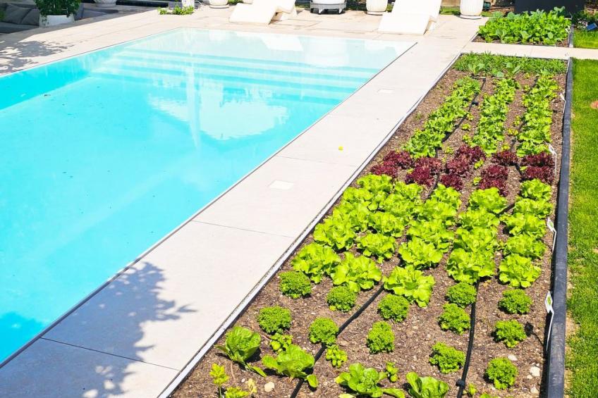 Luxurious large Home, Pool , Garden , Koi Pond - foto 44