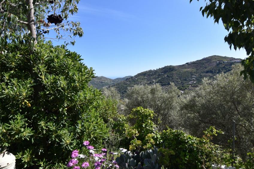 Finca El Corinto - Ein verwunschener Ort - foto 2