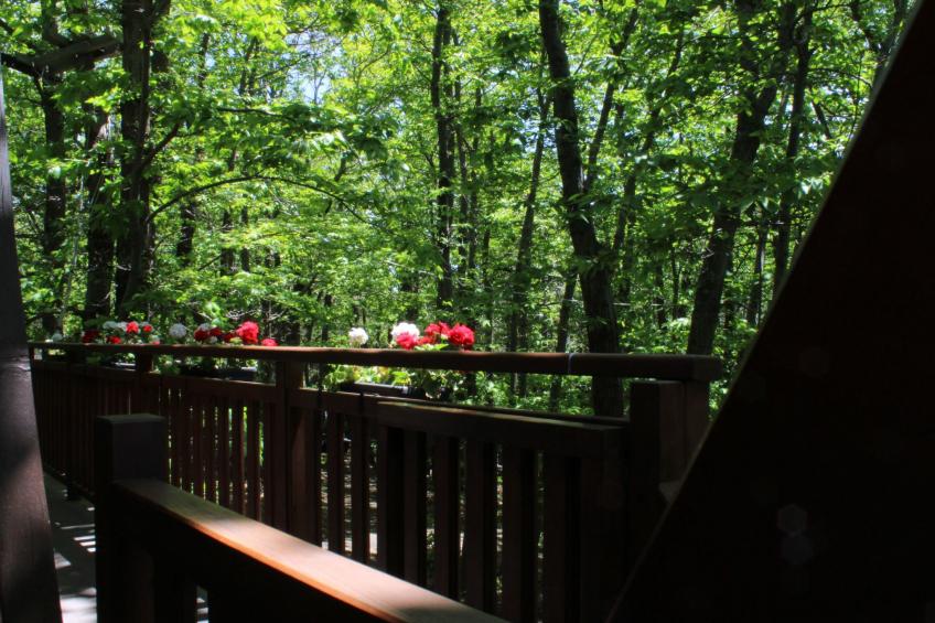 Mathilde's Chalet Naturhaus - foto 12