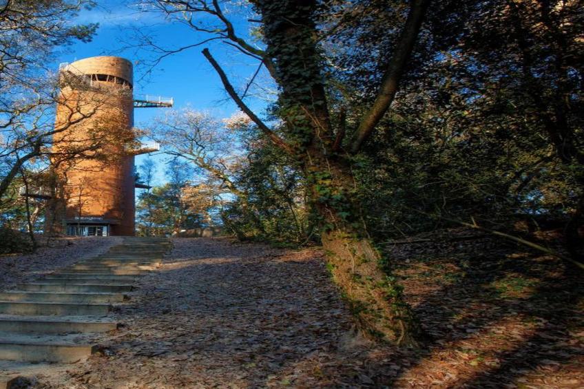 RCN Vakantiepark de Roggeberg 11 - foto 33