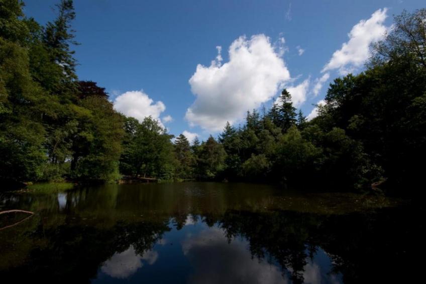 De Meerkoet - foto 31