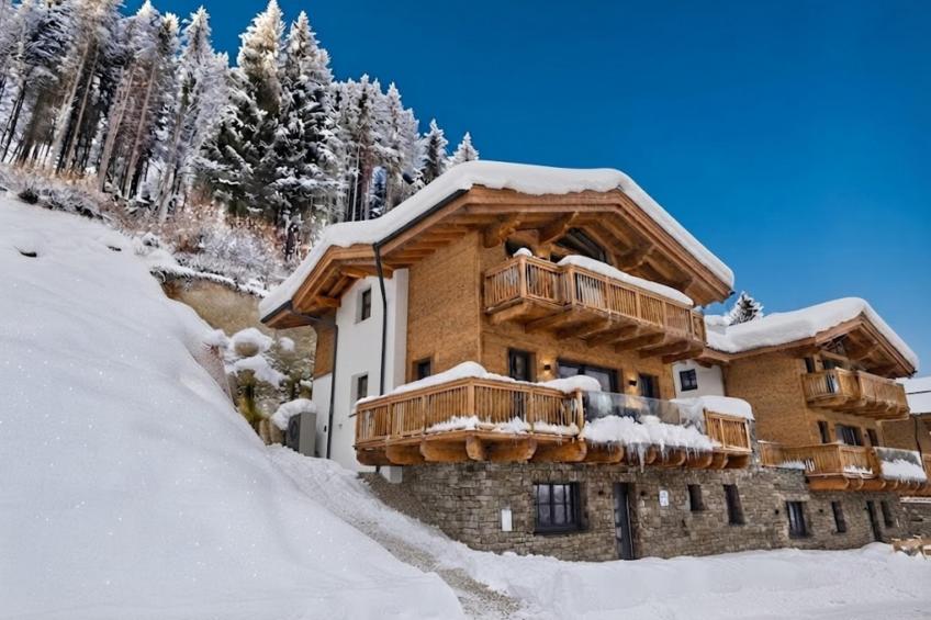 Alpen Villa Danica - foto 44