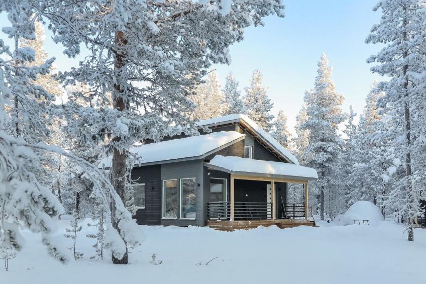 Pallaskieppi - foto 22