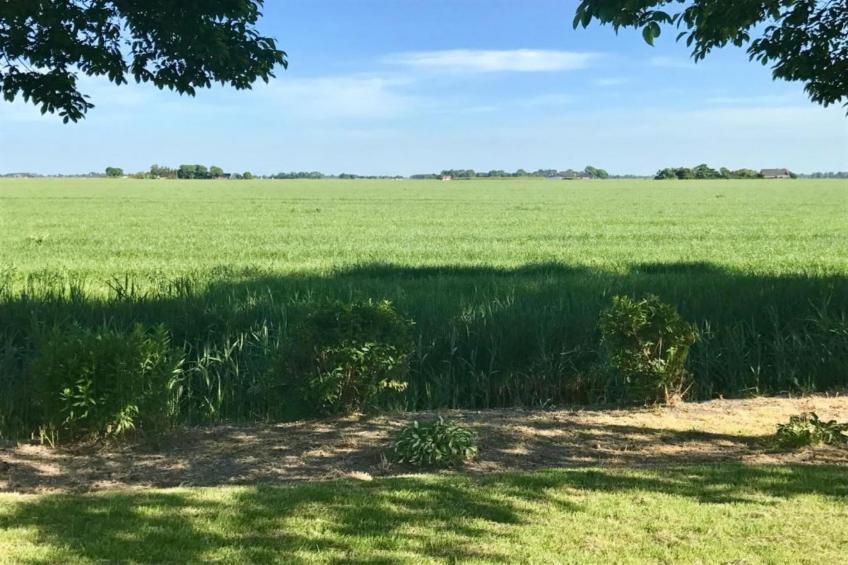 Bargereed 90 - foto 30