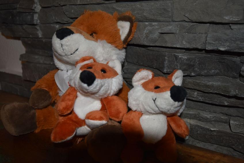 Odenwaldwellness - foto 10