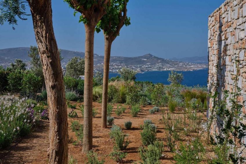 Delium Villa - foto 30