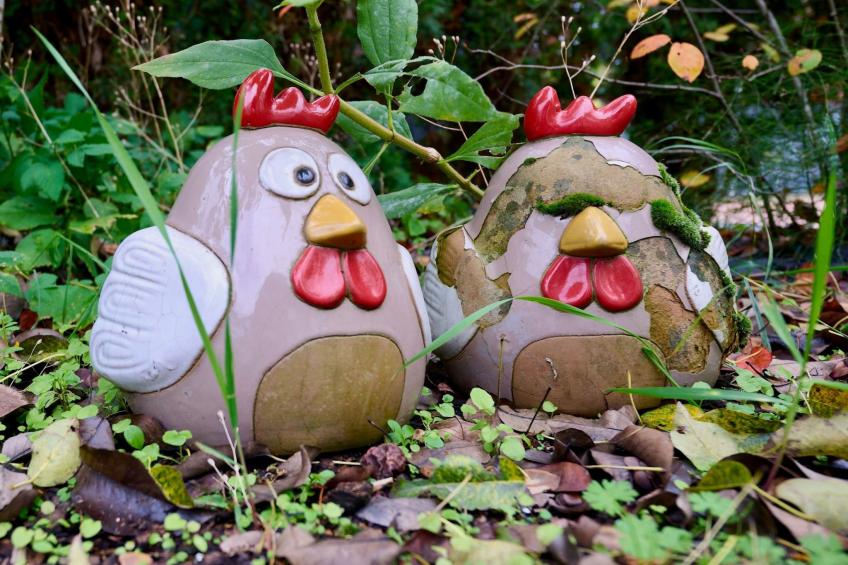 Schönes Ferienhaus in Brochterbeck mit Garten - foto 27