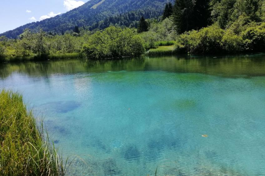 Studio-Appartement mit Balkon - foto 42