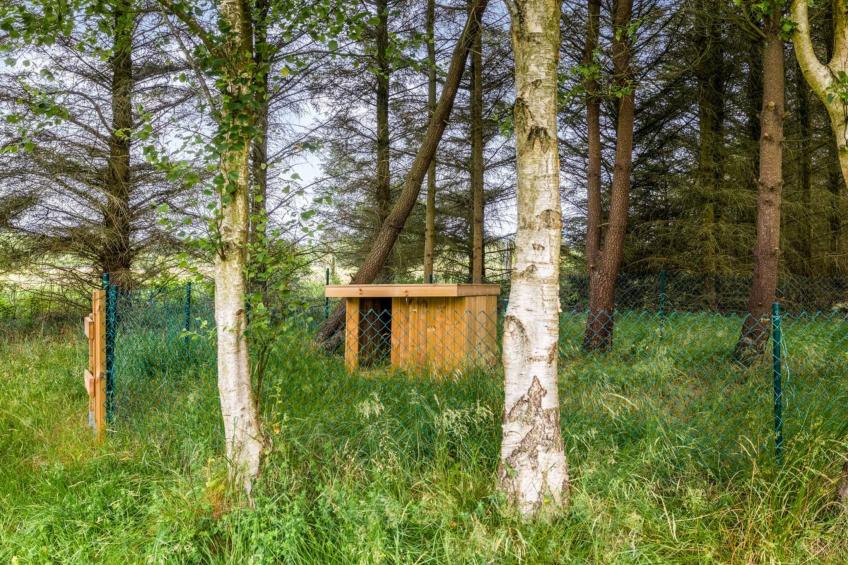 "Marlise" - 2.5km from the sea - foto 41