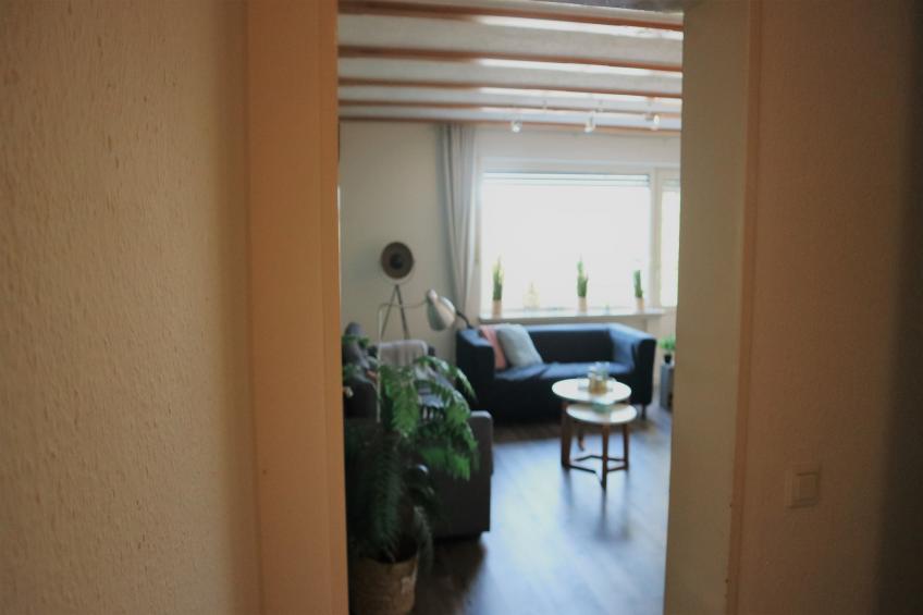 Flora - foto 5