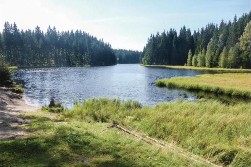 Jägersgrün - foto 37