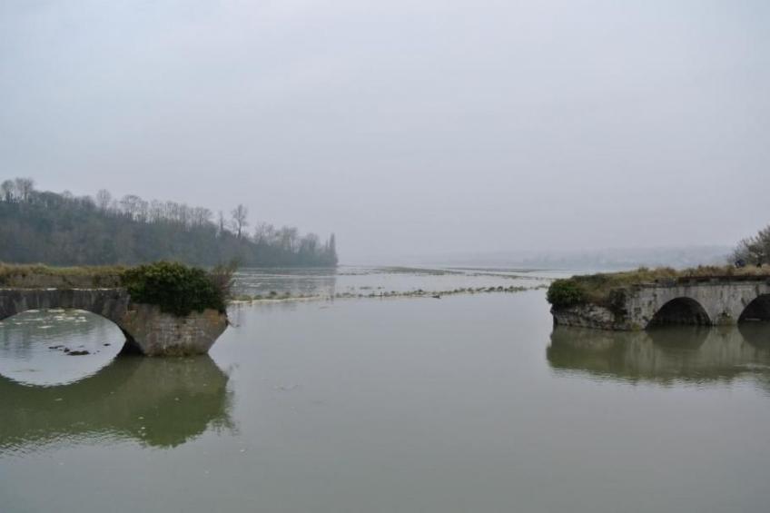 "Gîte de la Sienne" - foto 28