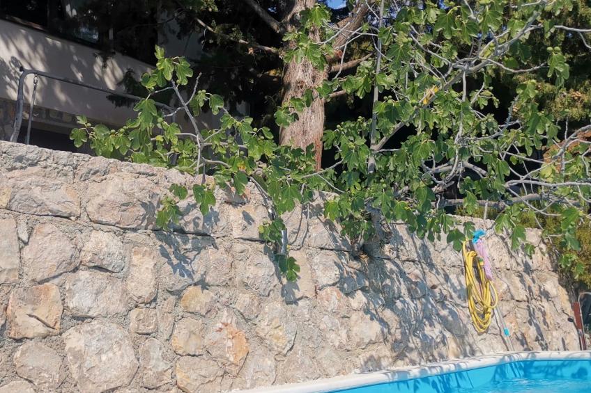 mit Pool in Lukovo Sugarje - foto 42