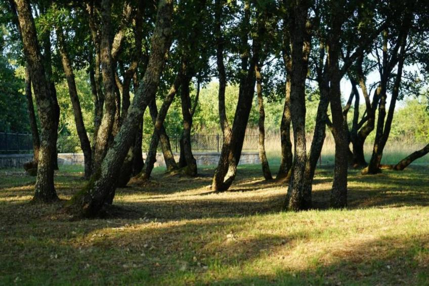 Villa Bella - foto 40