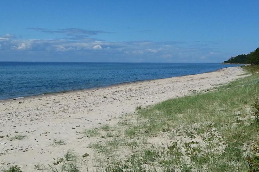 Niedliches Schwedenhaus. - foto 33