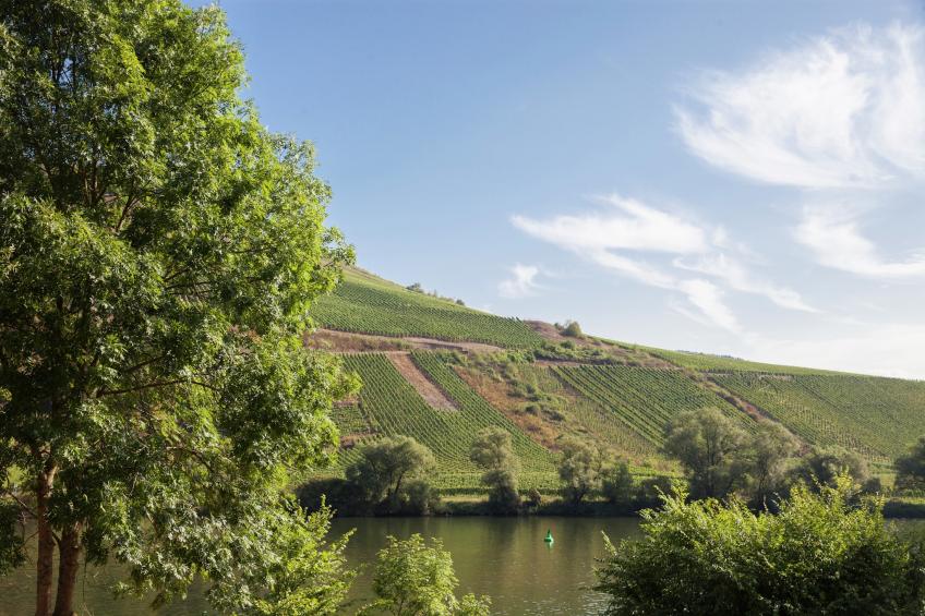 Briedel - foto 31