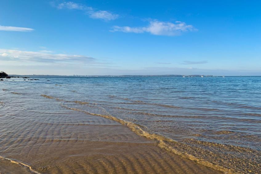 in Lutterbek mit Kleinem Garten - foto 3