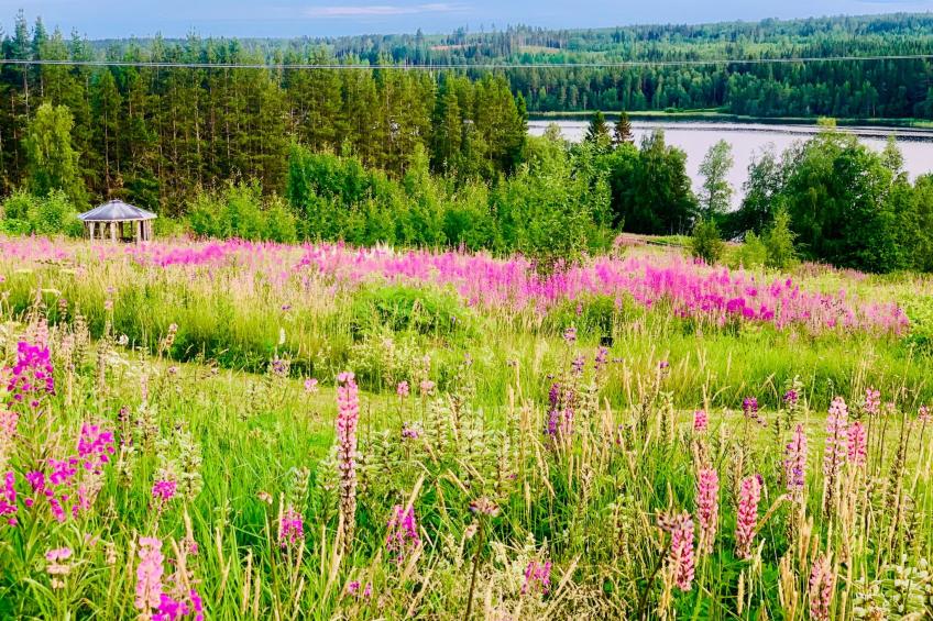 Ferienvilla mit Whirlpool - foto 5