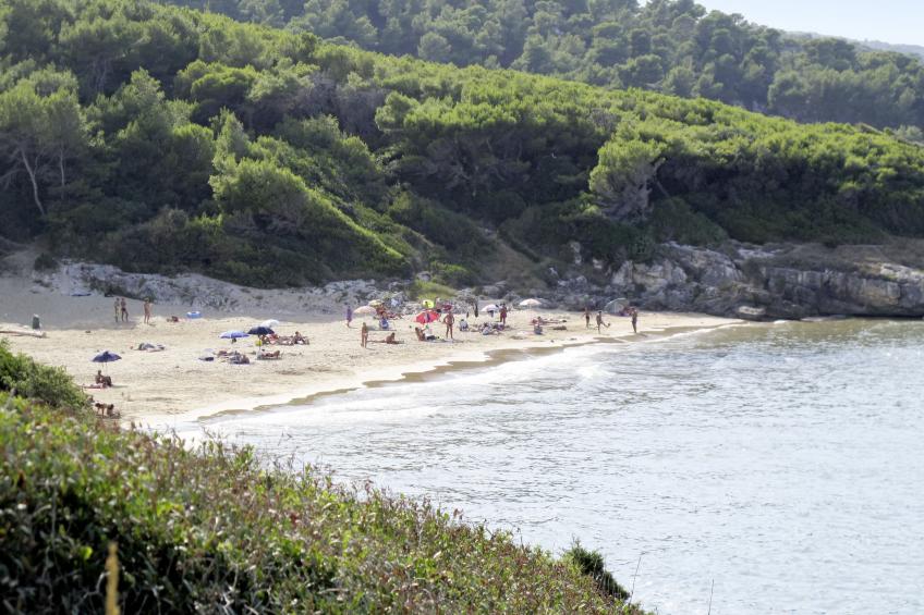 Wohnung in Vieste mit Privatparkplatz - foto 13