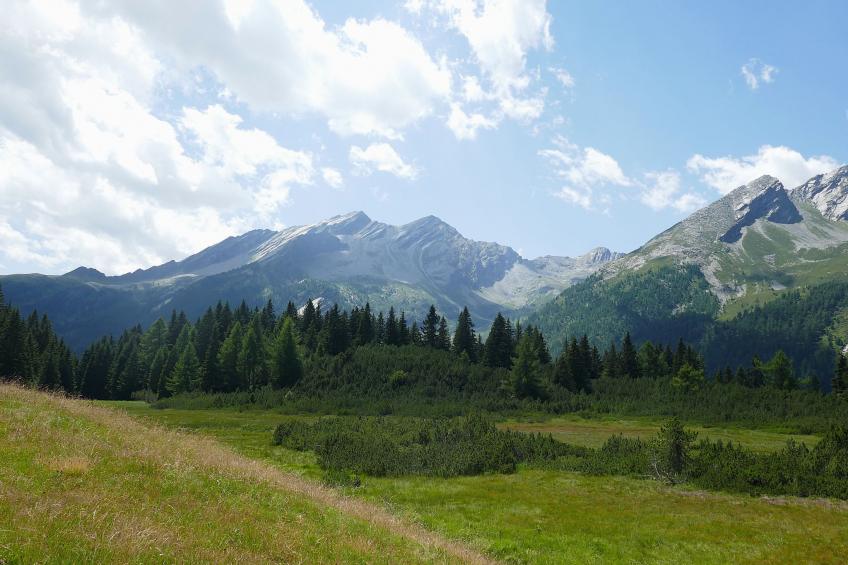 Nido delle Alpi - foto 37